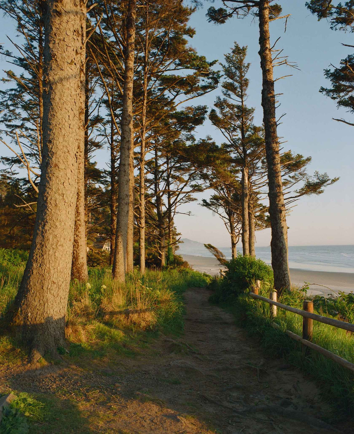 Kodak Ektacolor pro 800 - 35mm