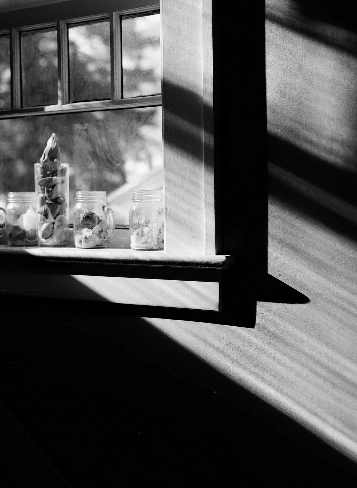 Kodak Ektapan 100 - 35mm