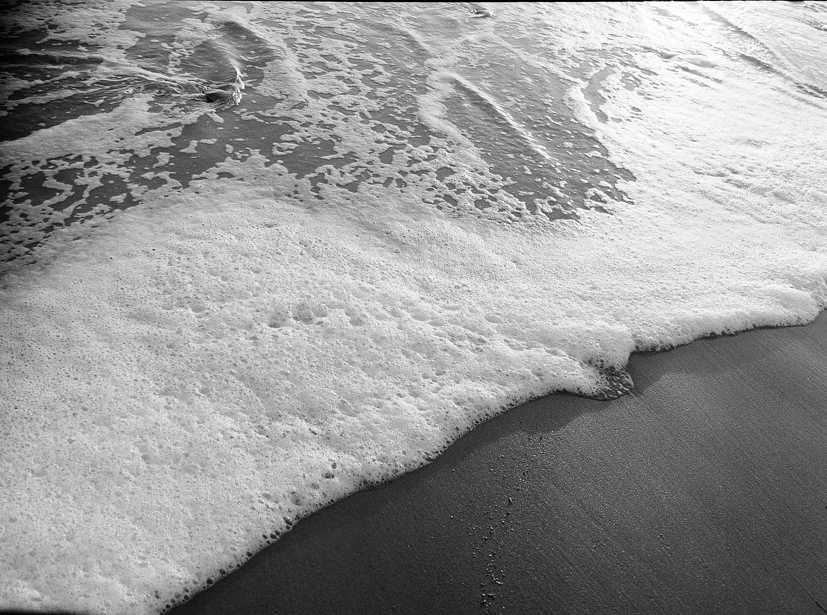 Kodak Tri-X 400 - 35mm