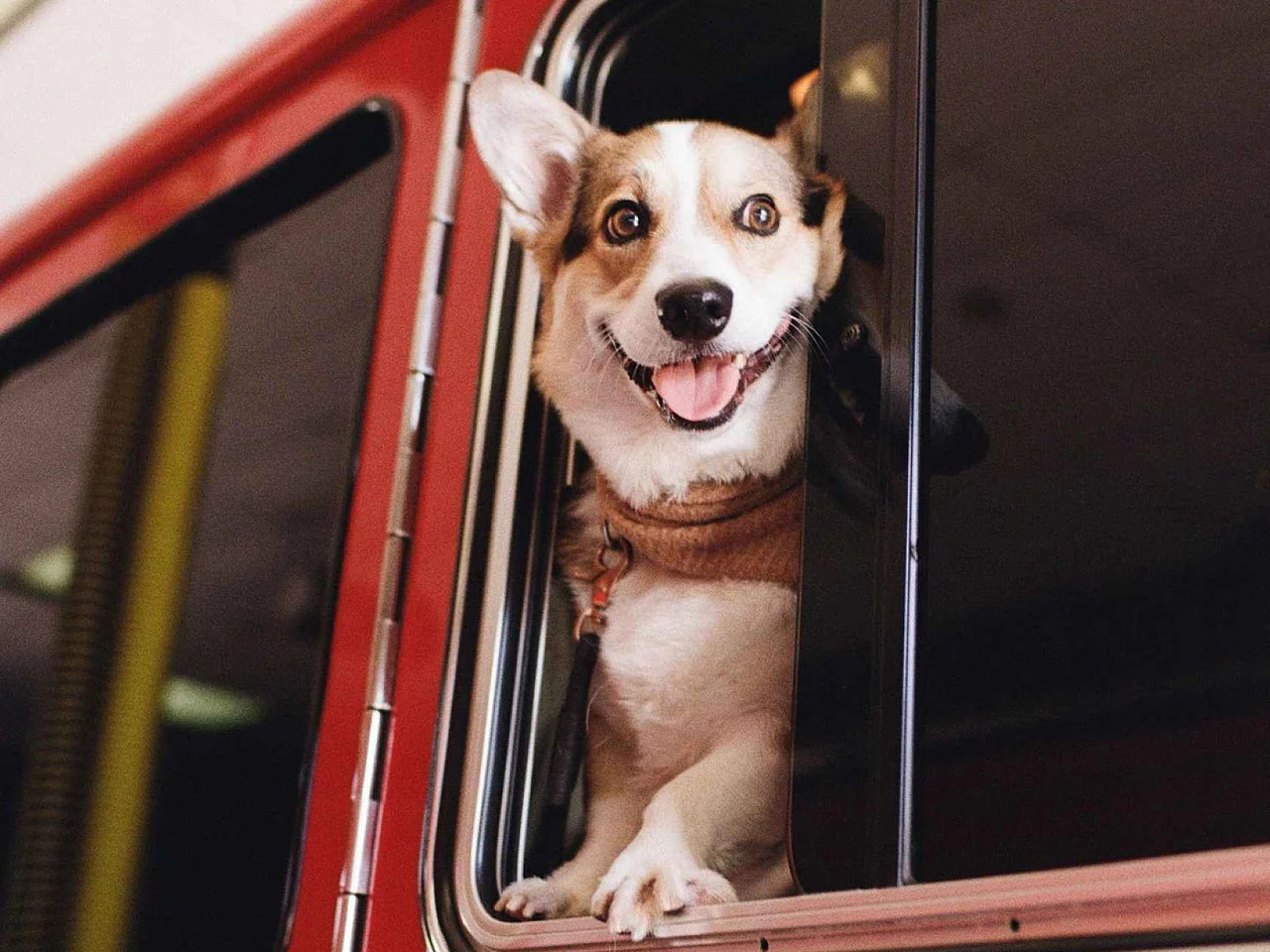 Kodacolor 100/200 - 35mm