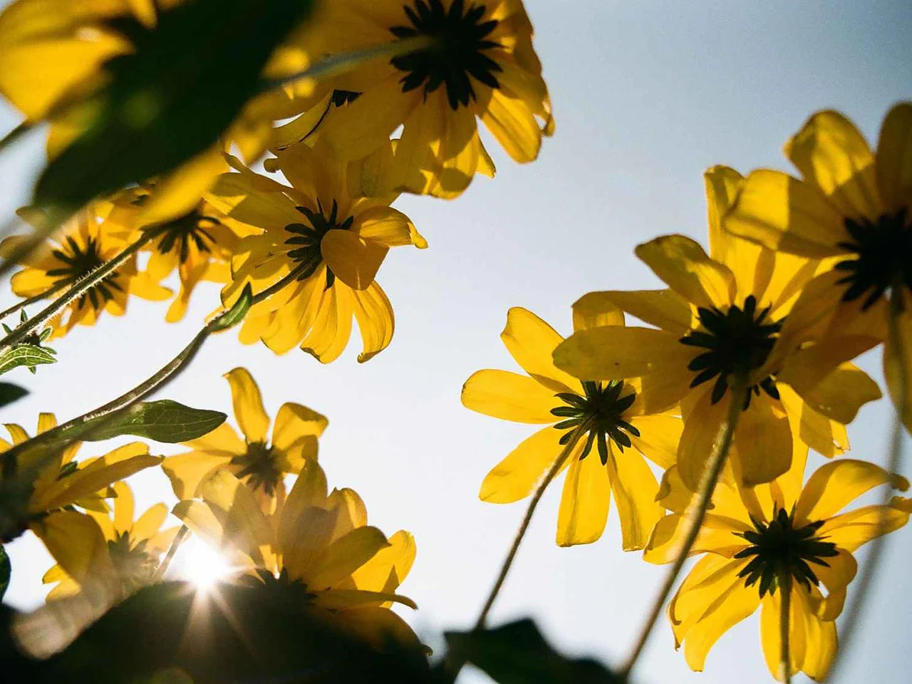 Kodacolor 100/200 - 35mm