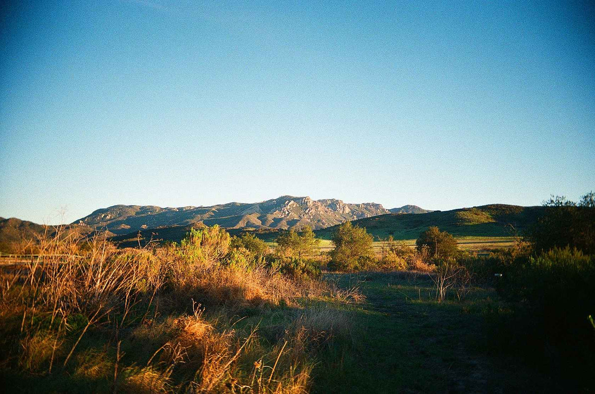 Eastman Kodak Ultramax 400 - 35mm