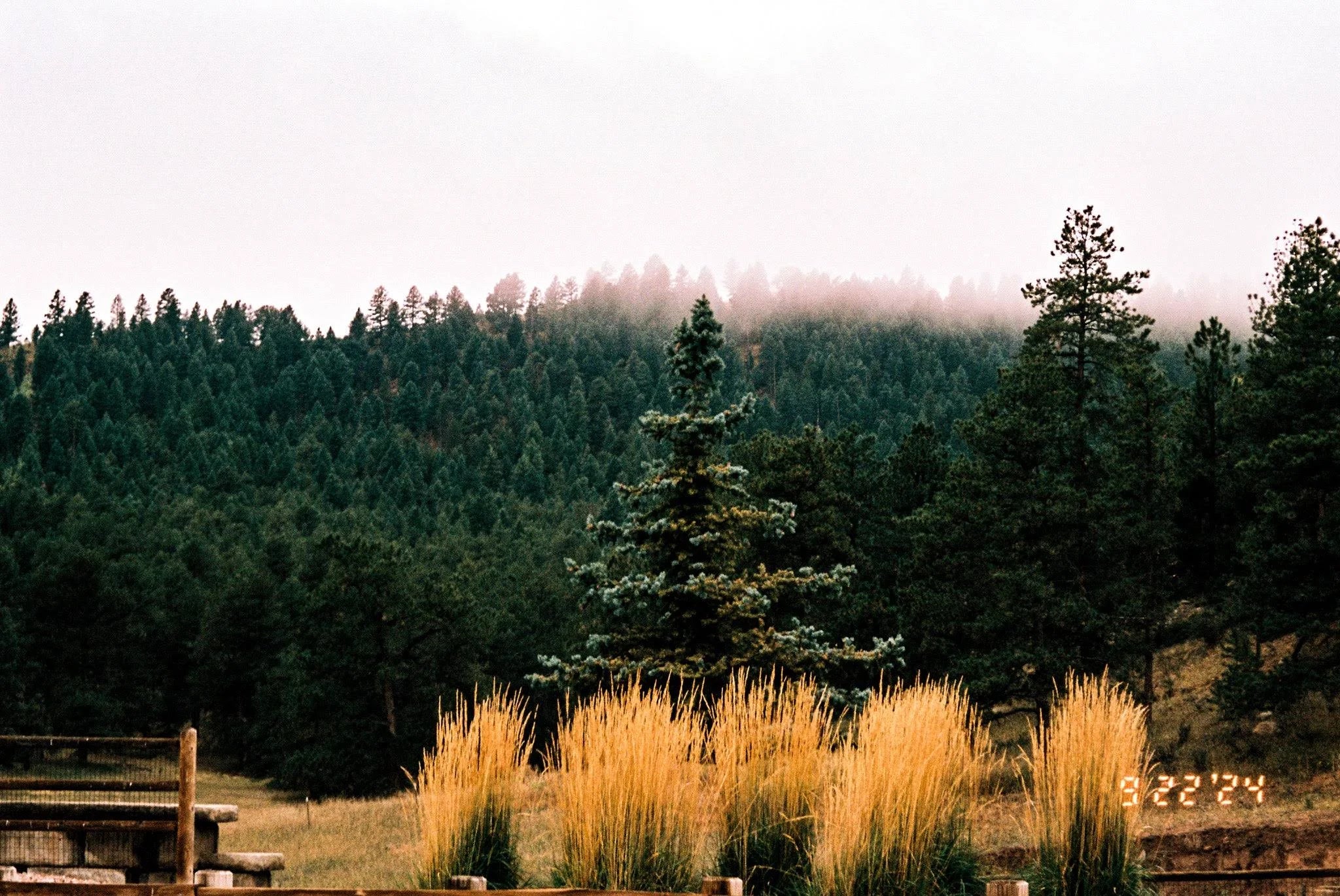 Flic Film Elektra 100 - 35 mm