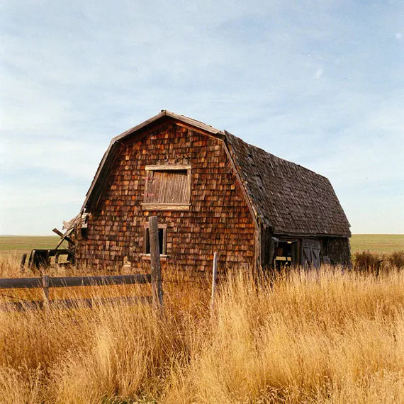 Flic Film Street Savvy 400 - 35mm