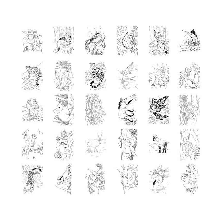 Pizarra de dibujo Kidydraw Pad