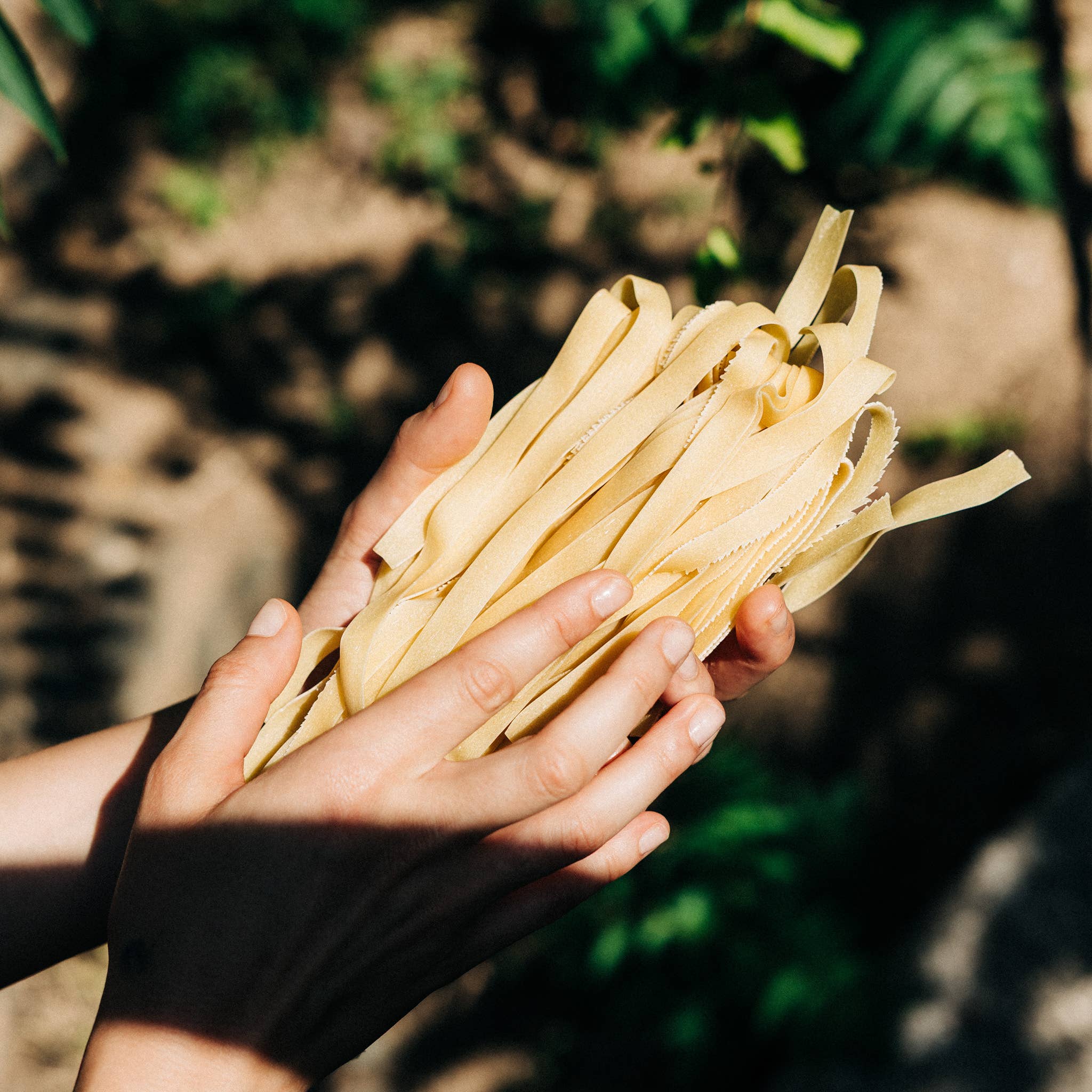 Hylopites Tagliatelle de Creta