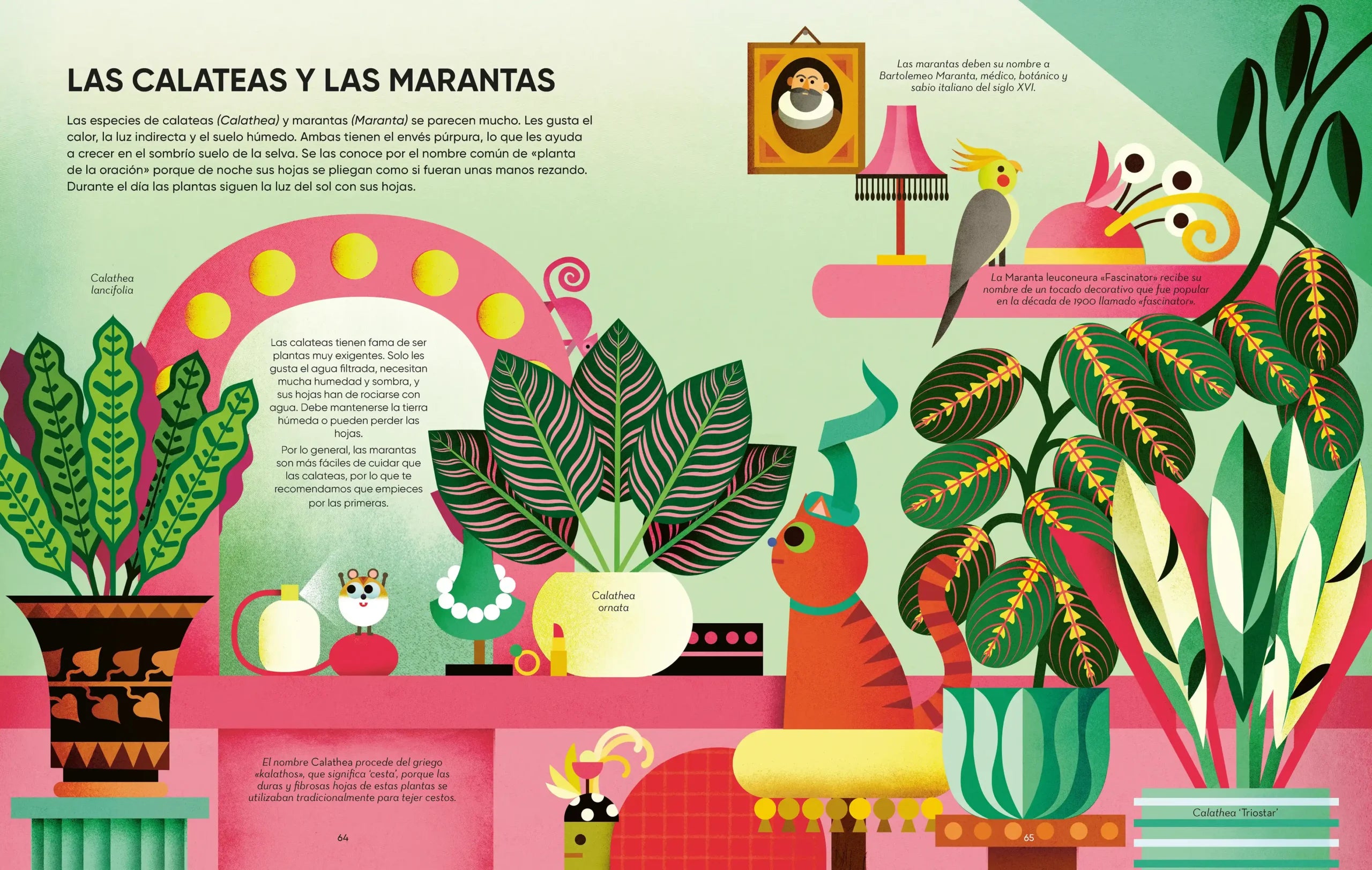 Una jungla en tu salón