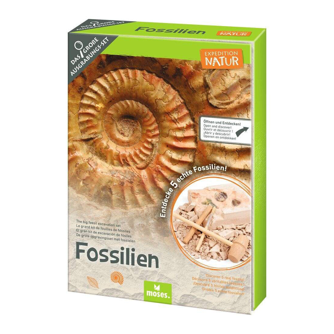 Fossil Excavation Set