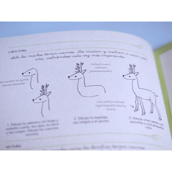 Illustration School - Animals