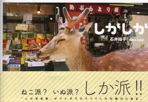 Yoko Ishii - Dear Deer