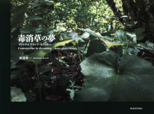 Watanabe Koichi : Contrayerba in Dreaming - Plantes-histoire détox 