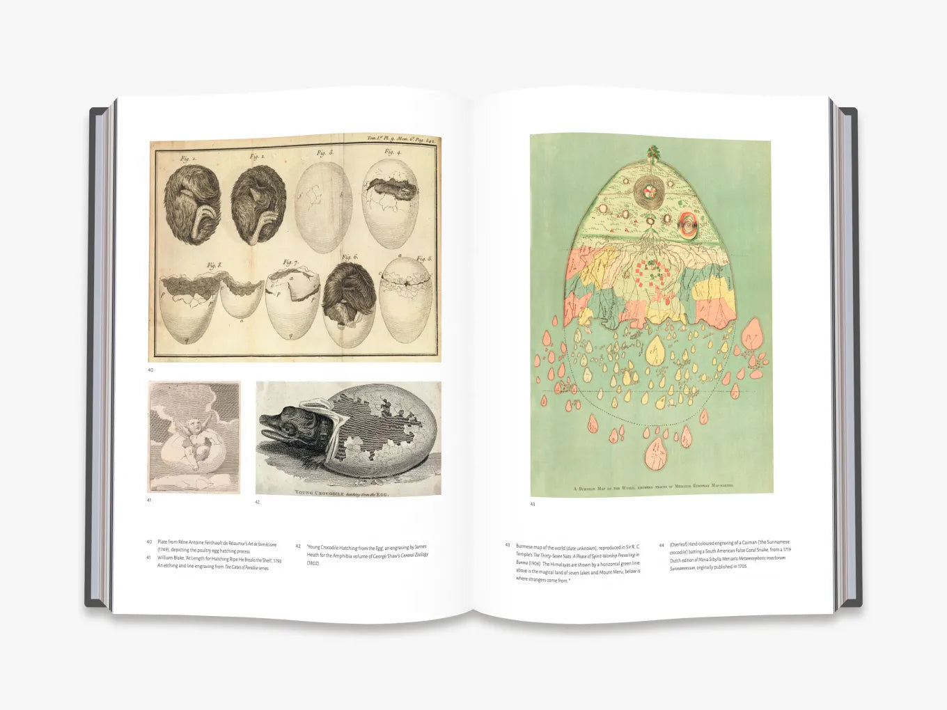 Affinities: A Journey Through Images from The Public Domain Review