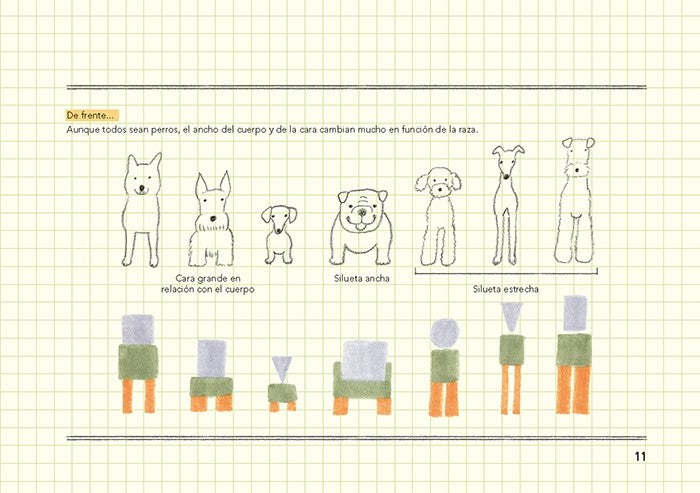 À quoi ressemblent les animaux et comment les dessiner - Ai Akikusa 