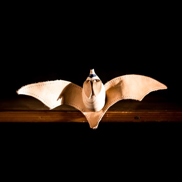 Brown Long-eared Bat Wings Open
