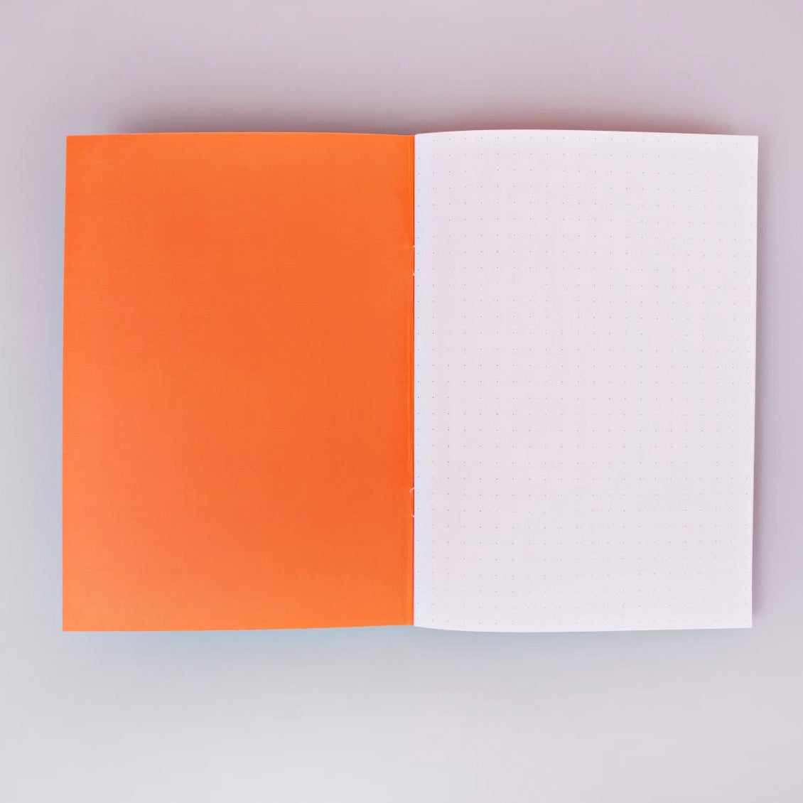 Dot Grid Notebook A5 Slim - The Completist