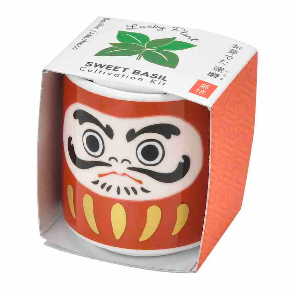 Semillas Lucky Plant