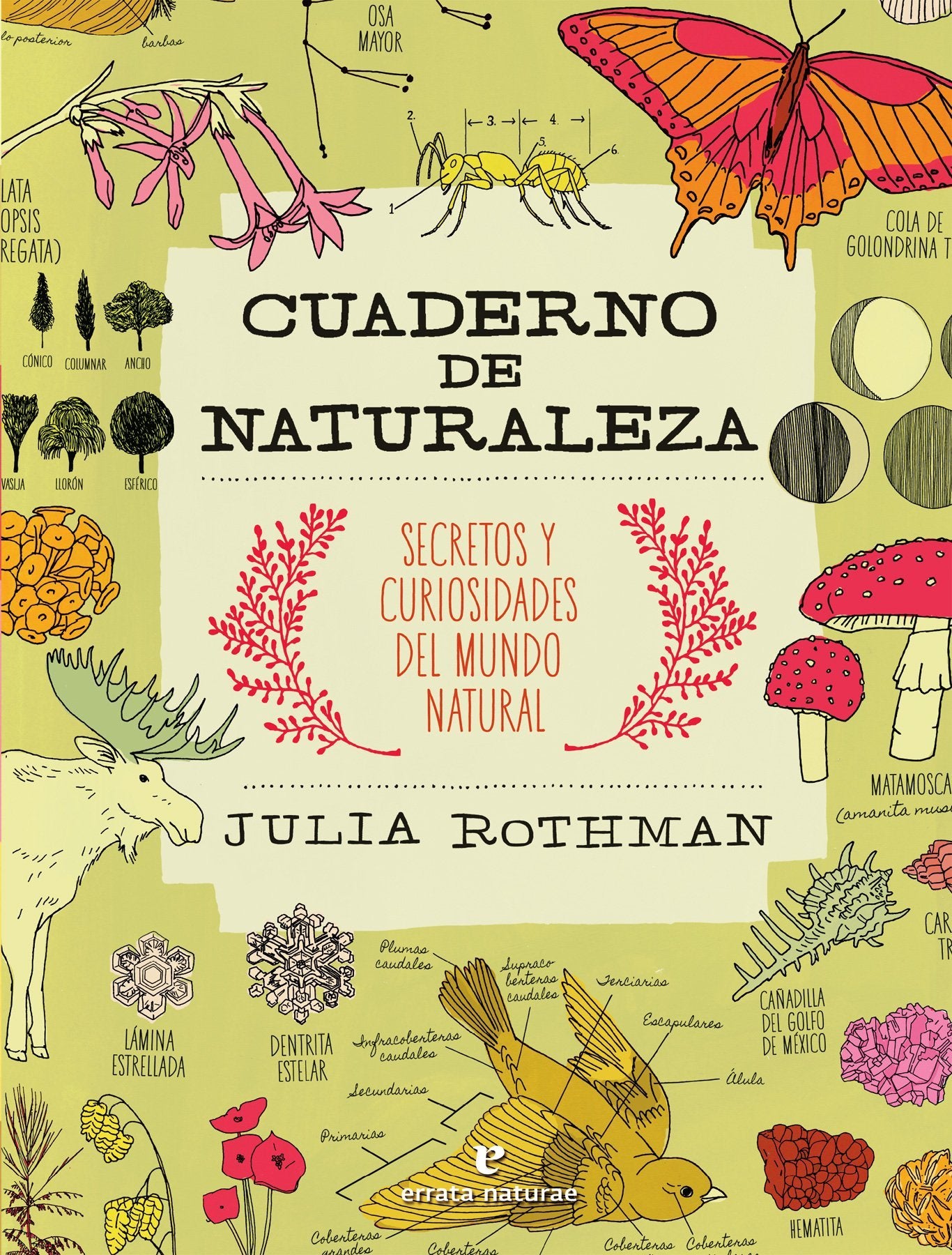 Cuaderno de naturaleza - Julia Rothman