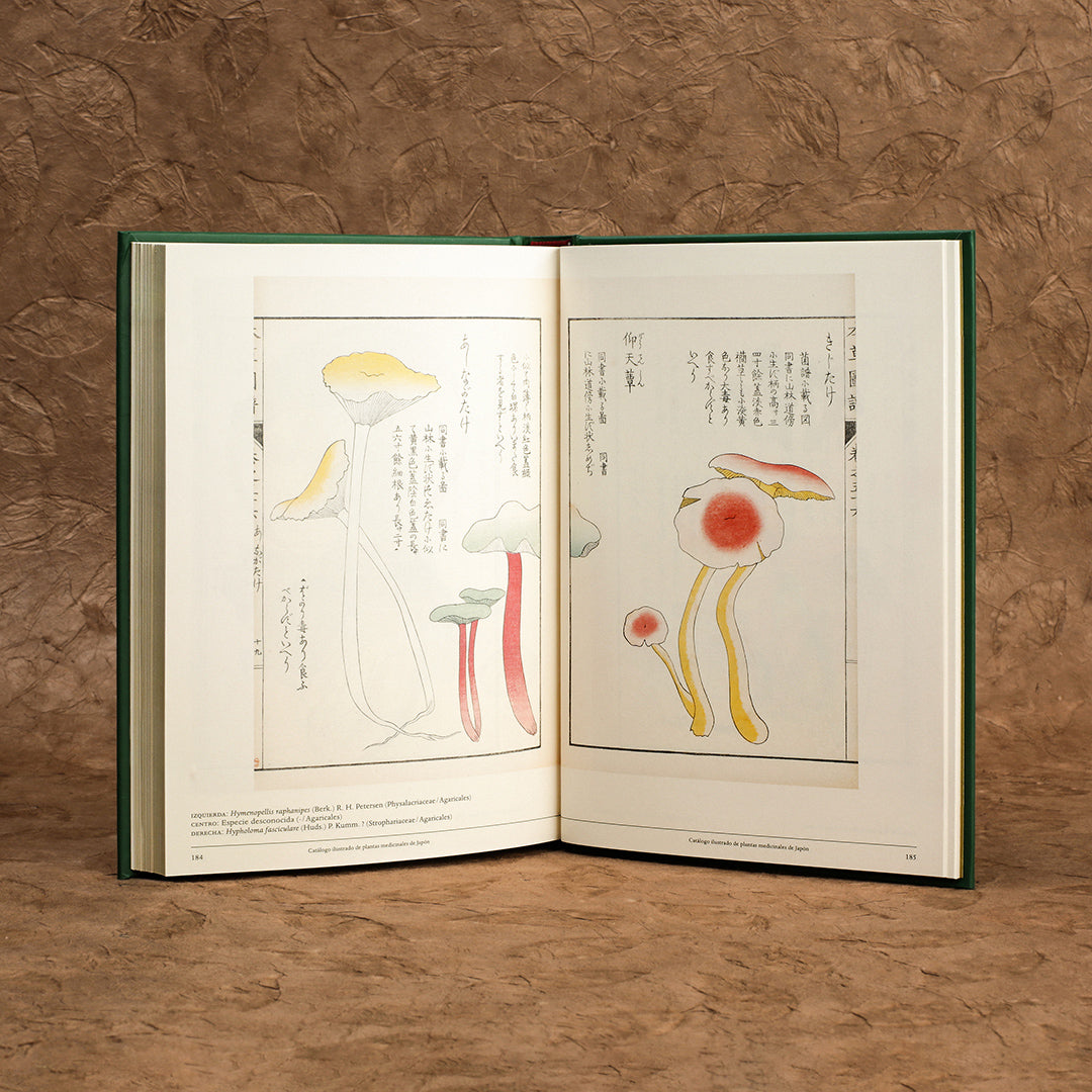 The Book of Tea - Kakuzo Okakura &amp; Isidro Ferrer