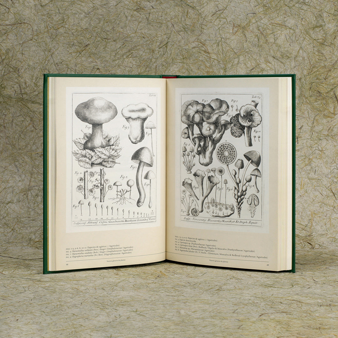 The Book of Tea - Kakuzo Okakura &amp; Isidro Ferrer