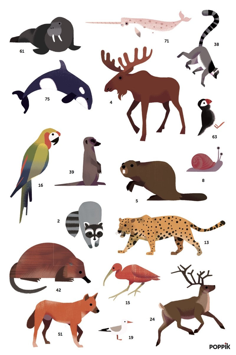 Stickers Poppik Animaux du monde Poster