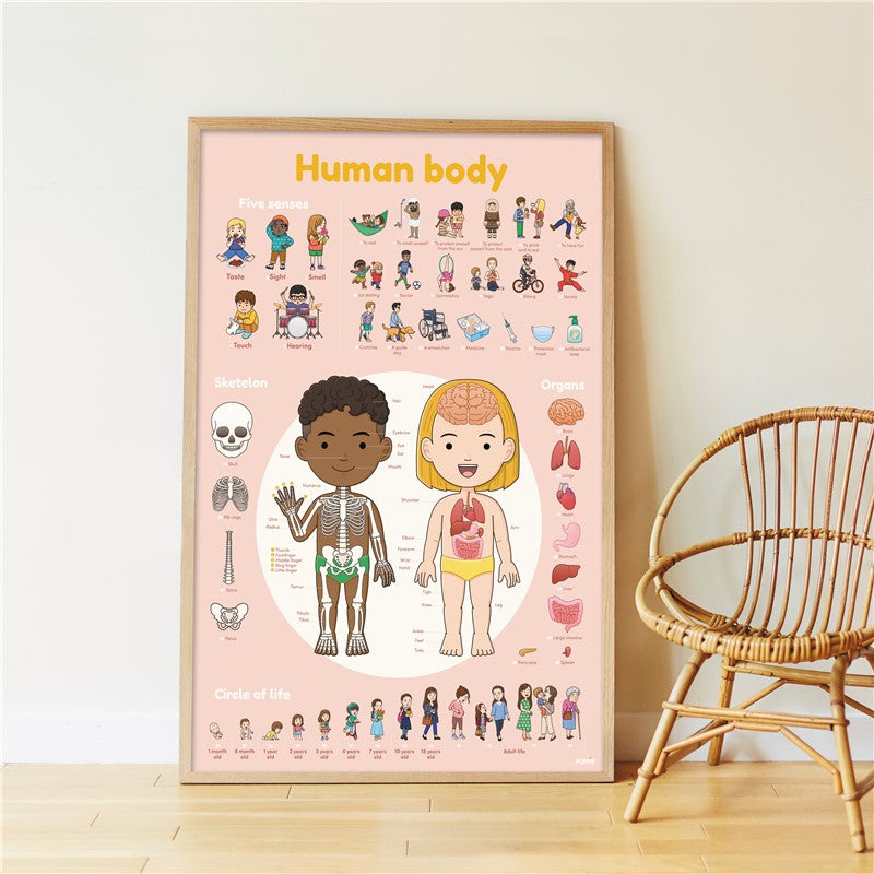 Poppik Human Body Stickers Poster