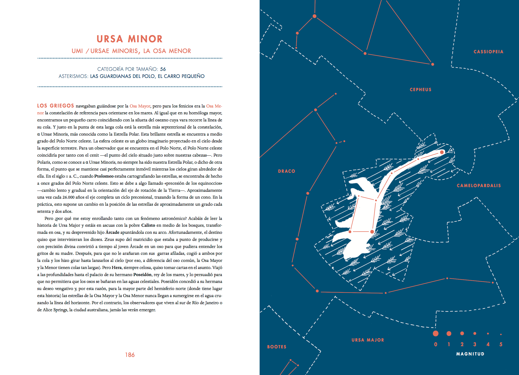 Atlas de las Constelaciones - Hannah Waldron • Susanna Hislop