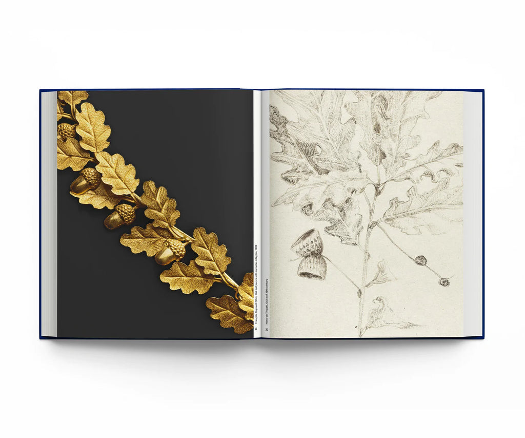 Botanical - Observing Beauty