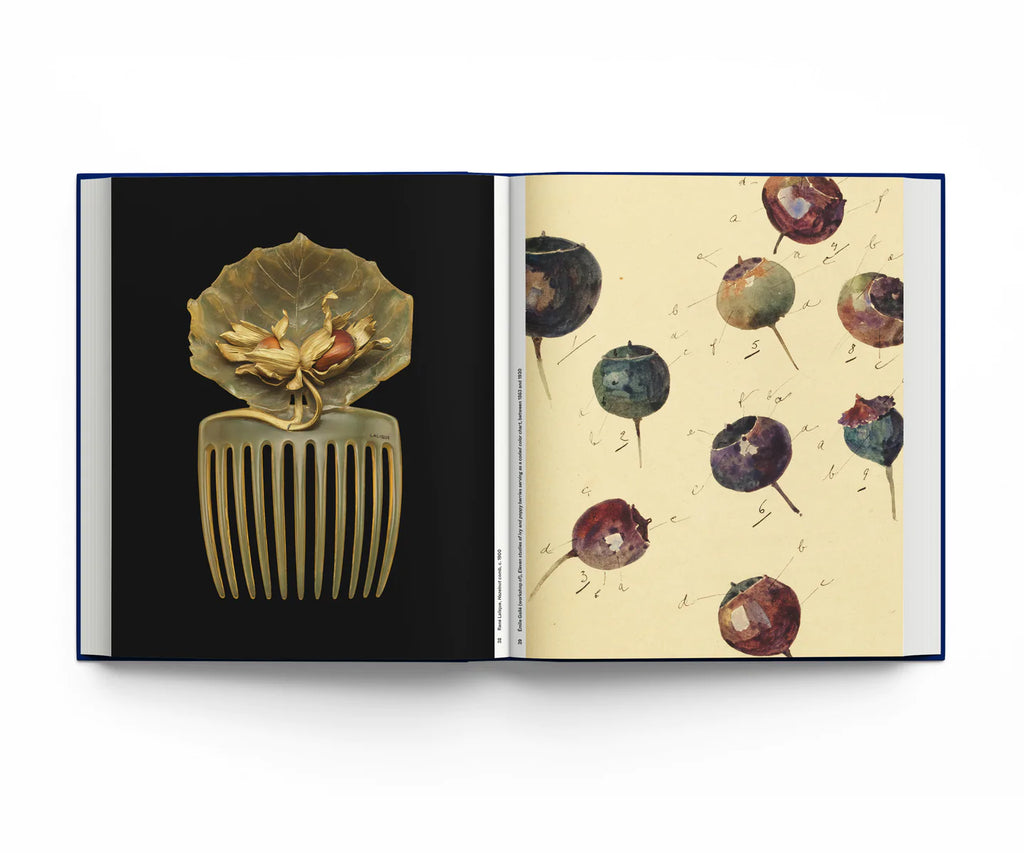Botanical - Observing Beauty