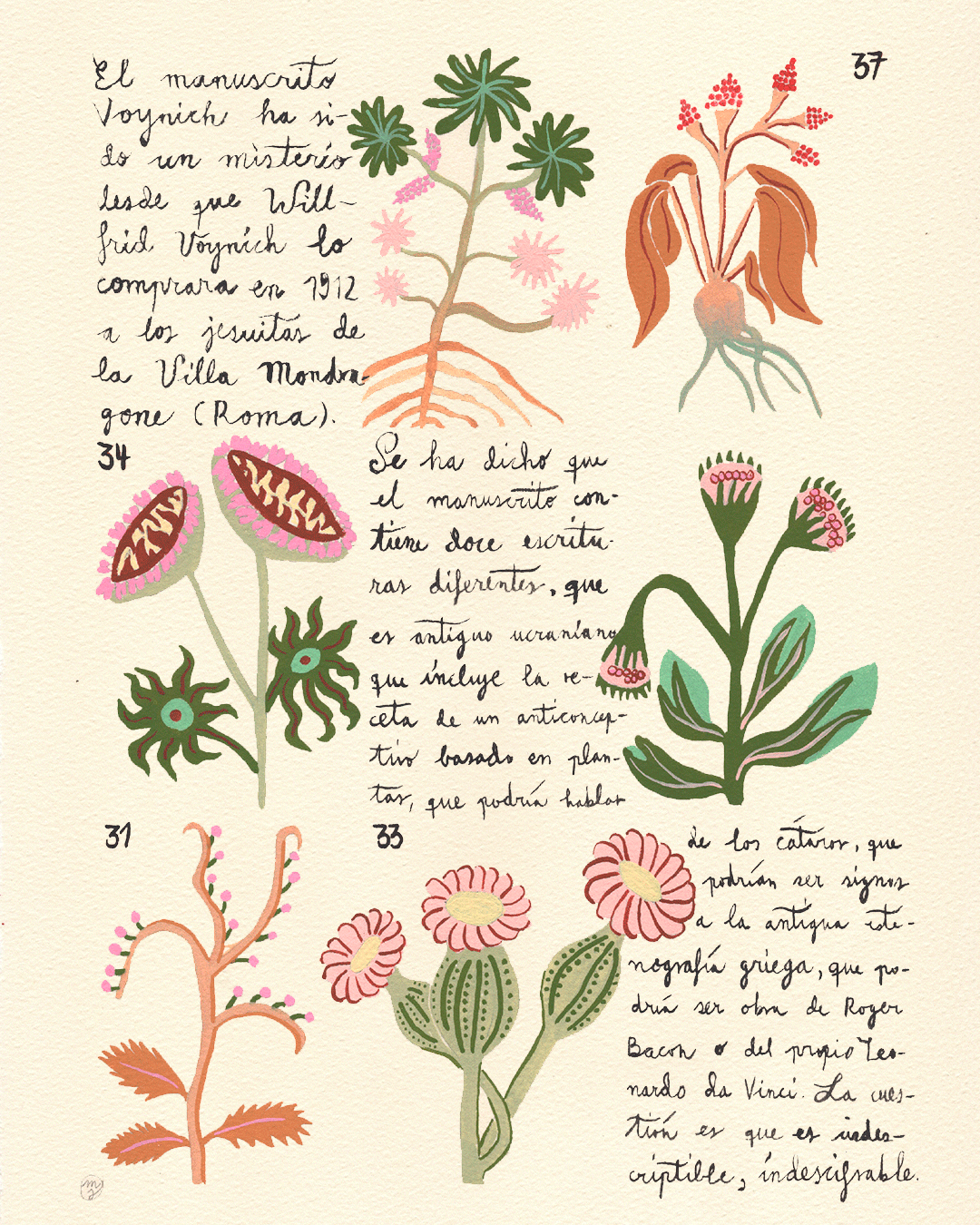 Manuscrit de Voynich Nº2 - Marina Siero