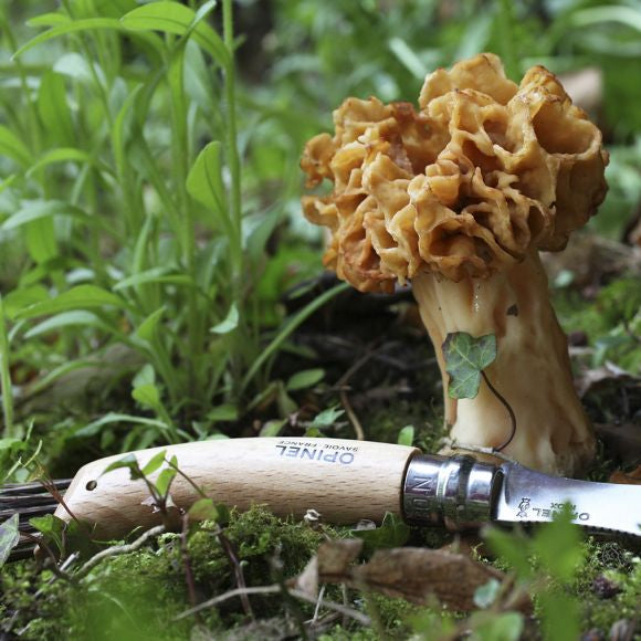 Knife for mushrooms nº 8 - Opinel