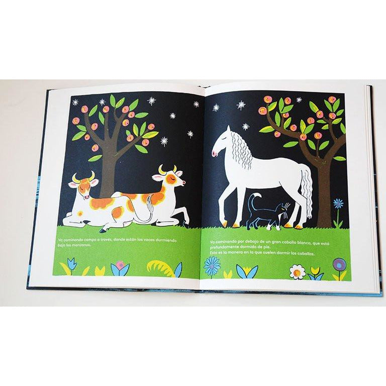 El Gato en la Noche - Dahlov Ipcar