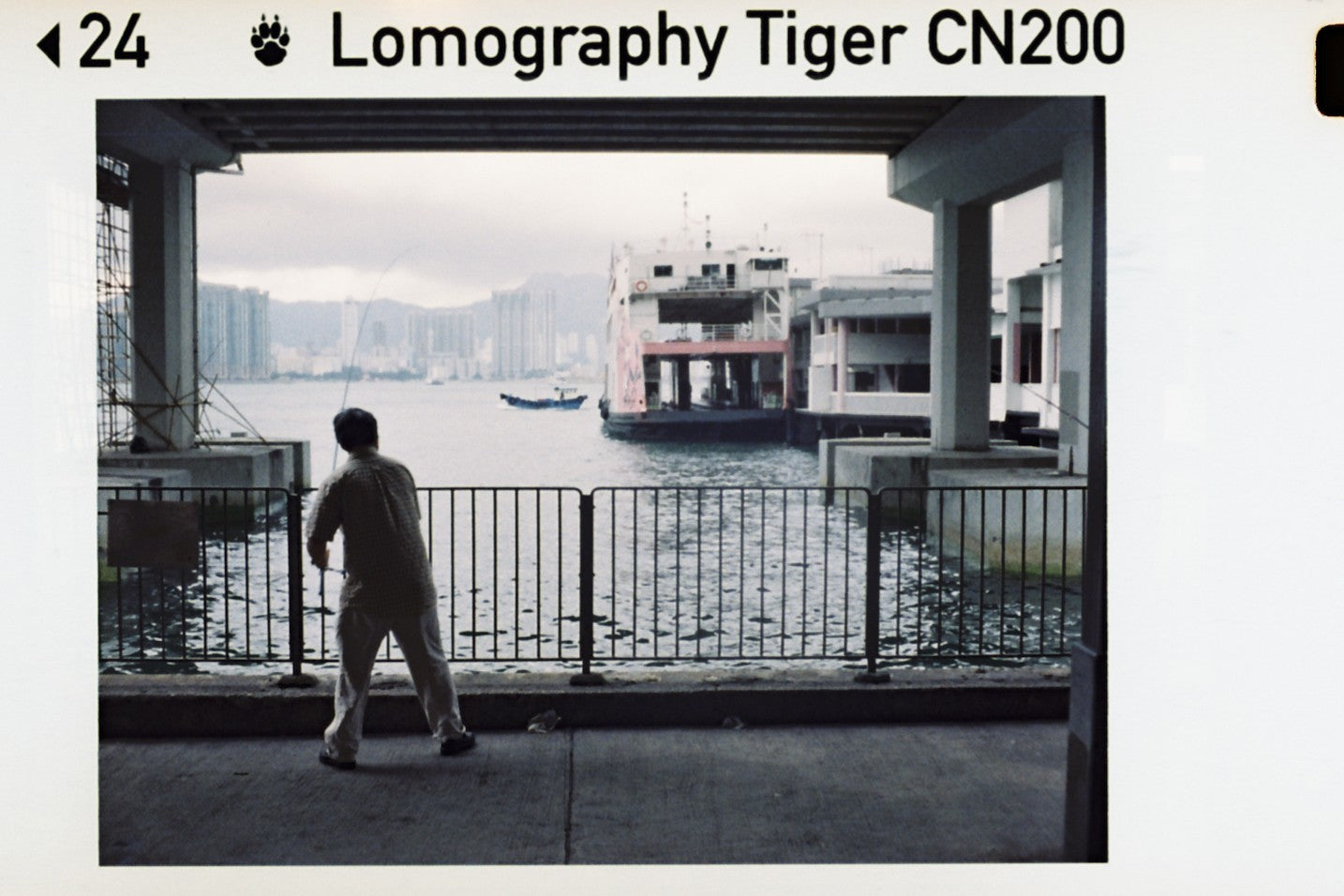 Pack de 3 Lomography Color Tiger 200 110mm