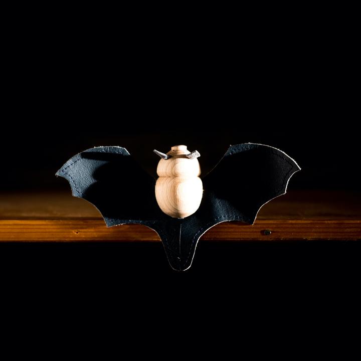 Black Horseshoe Bat Wings Open