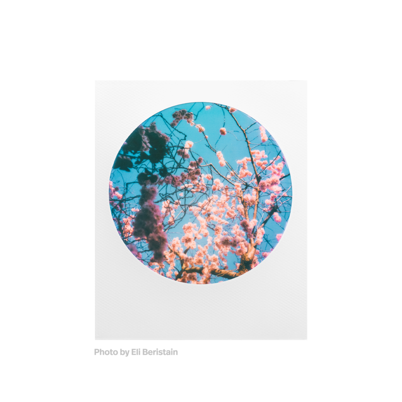 Película Color 600 - Round Frame