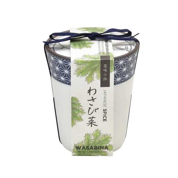 Kit de cultivo - Yakumi