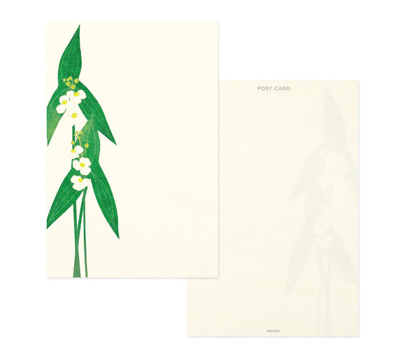 Postcard Pad 647 Four Designs Waterside Flowers